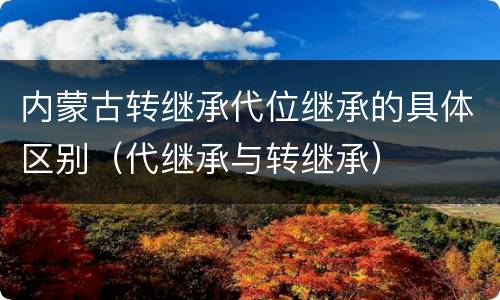 内蒙古转继承代位继承的具体区别(代继承与转继承)