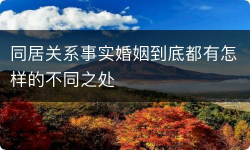同居关系事实婚姻到底都有怎样的不同之处