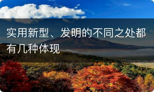 实用新型、发明的不同之处都有几种体现