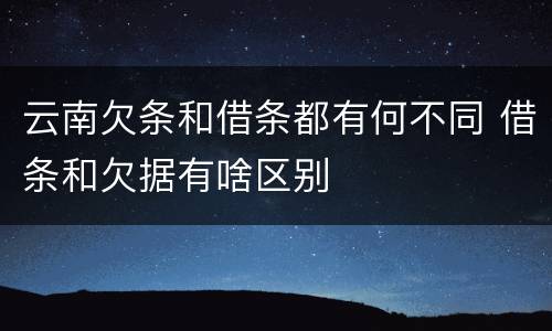 云南欠条和借条都有何不同 借条和欠据有啥区别