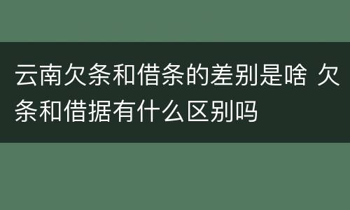 云南欠条和借条的差别是啥 欠条和借据有什么区别吗