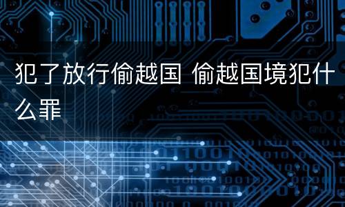 犯了放行偷越国 偷越国境犯什么罪