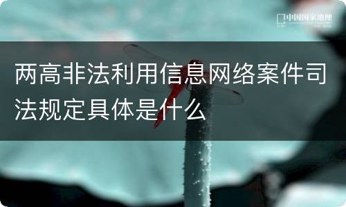 两高非法利用信息网络案件司法规定具体是什么