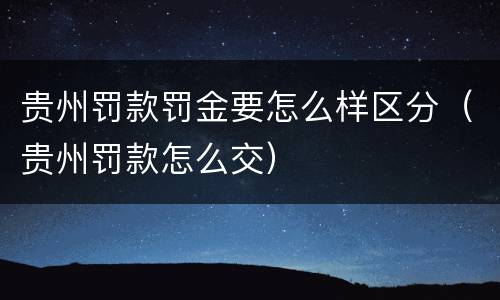 贵州罚款罚金要怎么样区分（贵州罚款怎么交）
