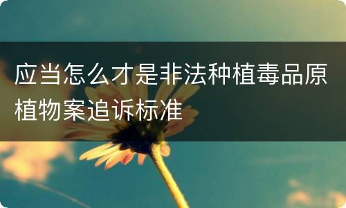 应当怎么才是非法种植毒品原植物案追诉标准