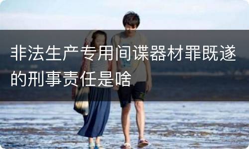 非法生产专用间谍器材罪既遂的刑事责任是啥