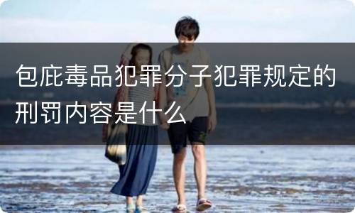 包庇毒品犯罪分子犯罪规定的刑罚内容是什么