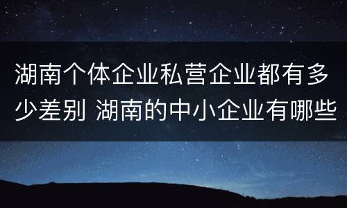 湖南个体企业私营企业都有多少差别 湖南的中小企业有哪些