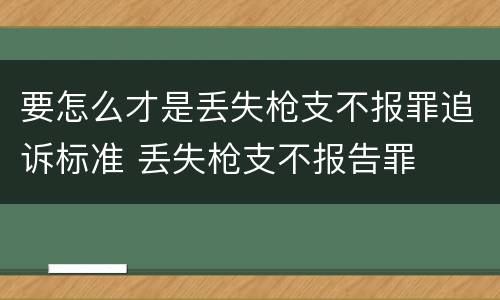 要怎么才是丢失枪支不报罪追诉标准 丢失枪支不报告罪