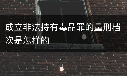 成立非法持有毒品罪的量刑档次是怎样的