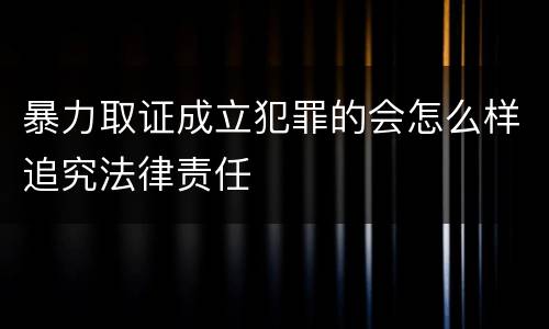 暴力取证成立犯罪的会怎么样追究法律责任