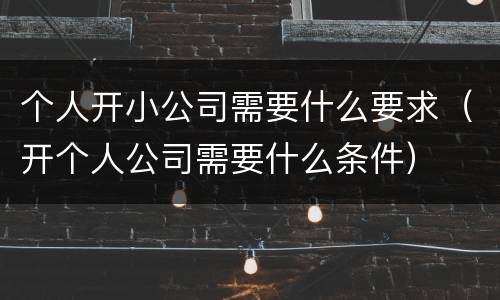 个人开小公司需要什么要求（开个人公司需要什么条件）