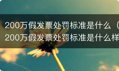 200万假发票处罚标准是什么（200万假发票处罚标准是什么样的）
