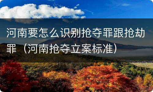 河南要怎么识别抢夺罪跟抢劫罪（河南抢夺立案标准）