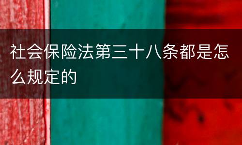 社会保险法第三十八条都是怎么规定的