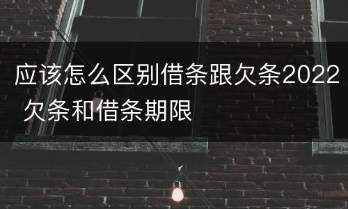 应该怎么区别借条跟欠条2022 欠条和借条期限