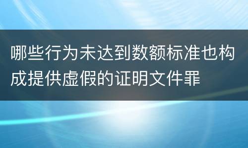 哪些行为未达到数额标准也构成提供虚假的证明文件罪