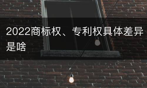 2022商标权、专利权具体差异是啥
