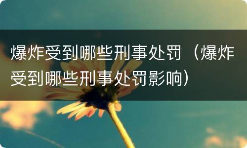 爆炸受到哪些刑事处罚（爆炸受到哪些刑事处罚影响）