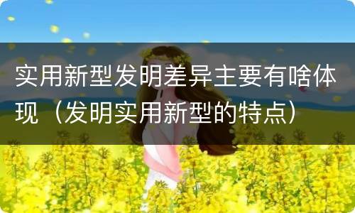 实用新型发明差异主要有啥体现（发明实用新型的特点）