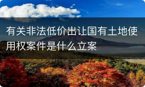 有关非法低价出让国有土地使用权案件是什么立案