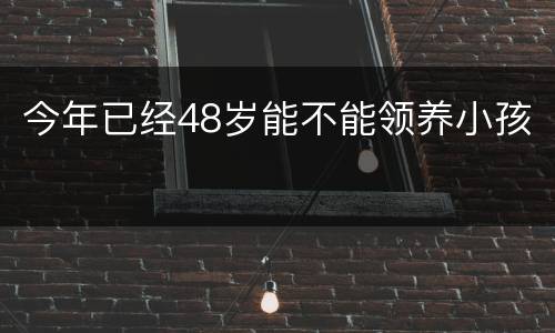 今年已经48岁能不能领养小孩