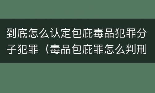 到底怎么认定包庇毒品犯罪分子犯罪（毒品包庇罪怎么判刑）