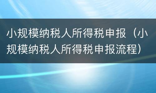 小规模纳税人所得税申报（小规模纳税人所得税申报流程）