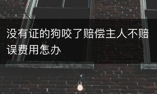 没有证的狗咬了赔偿主人不赔误费用怎办