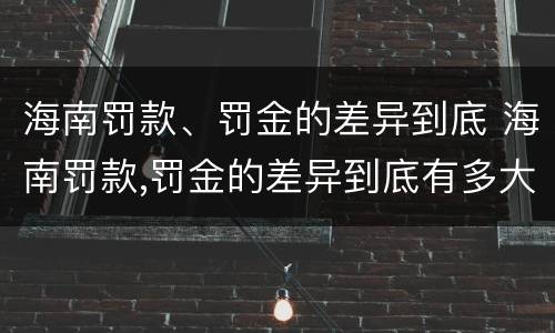 海南罚款、罚金的差异到底 海南罚款,罚金的差异到底有多大