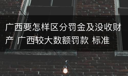广西要怎样区分罚金及没收财产 广西较大数额罚款 标准