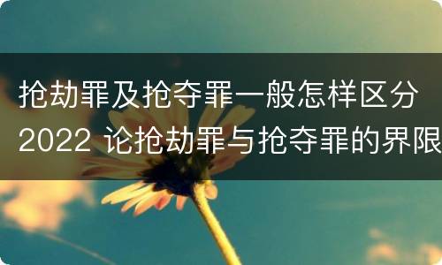 抢劫罪及抢夺罪一般怎样区分2022 论抢劫罪与抢夺罪的界限