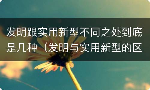 发明跟实用新型不同之处到底是几种（发明与实用新型的区别有）