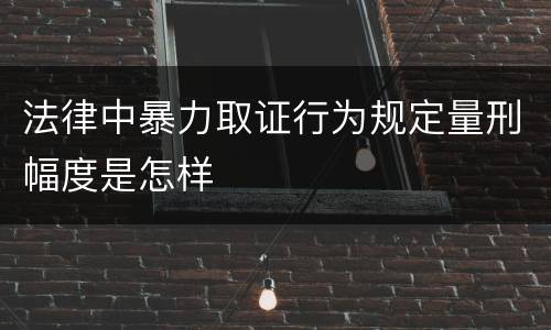 法律中暴力取证行为规定量刑幅度是怎样