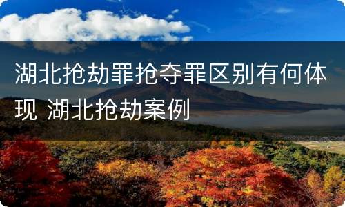 湖北抢劫罪抢夺罪区别有何体现 湖北抢劫案例