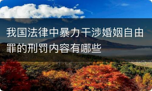 我国法律中暴力干涉婚姻自由罪的刑罚内容有哪些