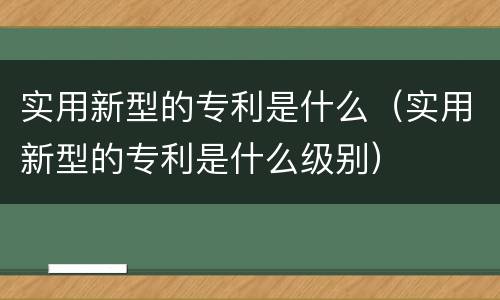 实用新型的专利是什么（实用新型的专利是什么级别）