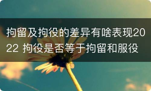 拘留及拘役的差异有啥表现2022 拘役是否等于拘留和服役