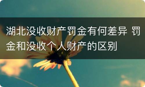 湖北没收财产罚金有何差异 罚金和没收个人财产的区别