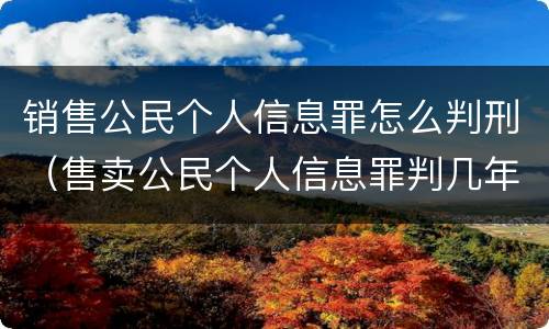 销售公民个人信息罪怎么判刑（售卖公民个人信息罪判几年）
