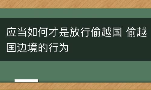 应当如何才是放行偷越国 偷越国边境的行为