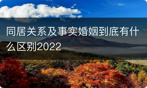 同居关系及事实婚姻到底有什么区别2022