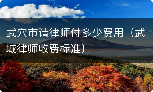 武穴市请律师付多少费用（武城律师收费标准）