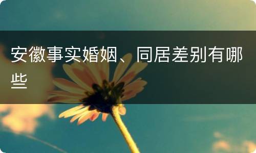 安徽事实婚姻、同居差别有哪些