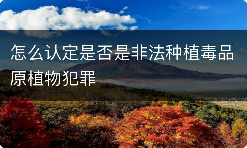 怎么认定是否是非法种植毒品原植物犯罪