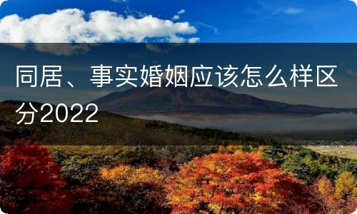 同居、事实婚姻应该怎么样区分2022