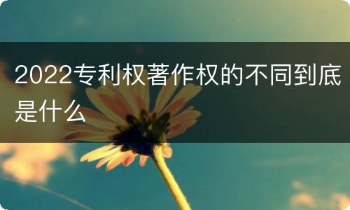 2022专利权著作权的不同到底是什么