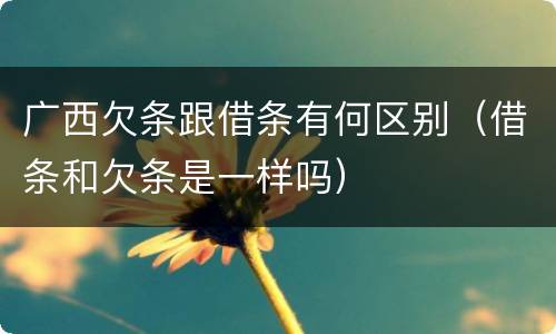广西欠条跟借条有何区别（借条和欠条是一样吗）