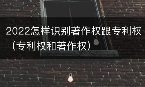 2022怎样识别著作权跟专利权（专利权和著作权）