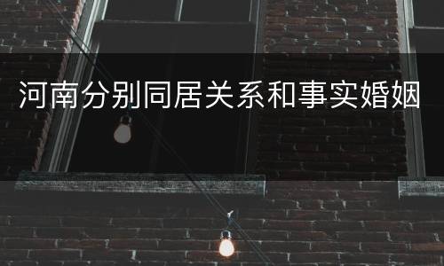 河南分别同居关系和事实婚姻